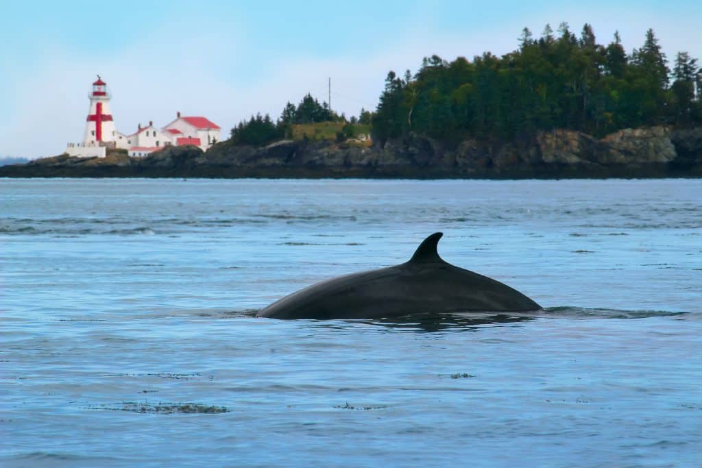 VacaySaver Shares Quieter Summer Destinations in Canada 2